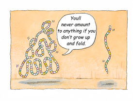 Ilustration of proteins: it's All about folding